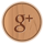 Google Plus Icon